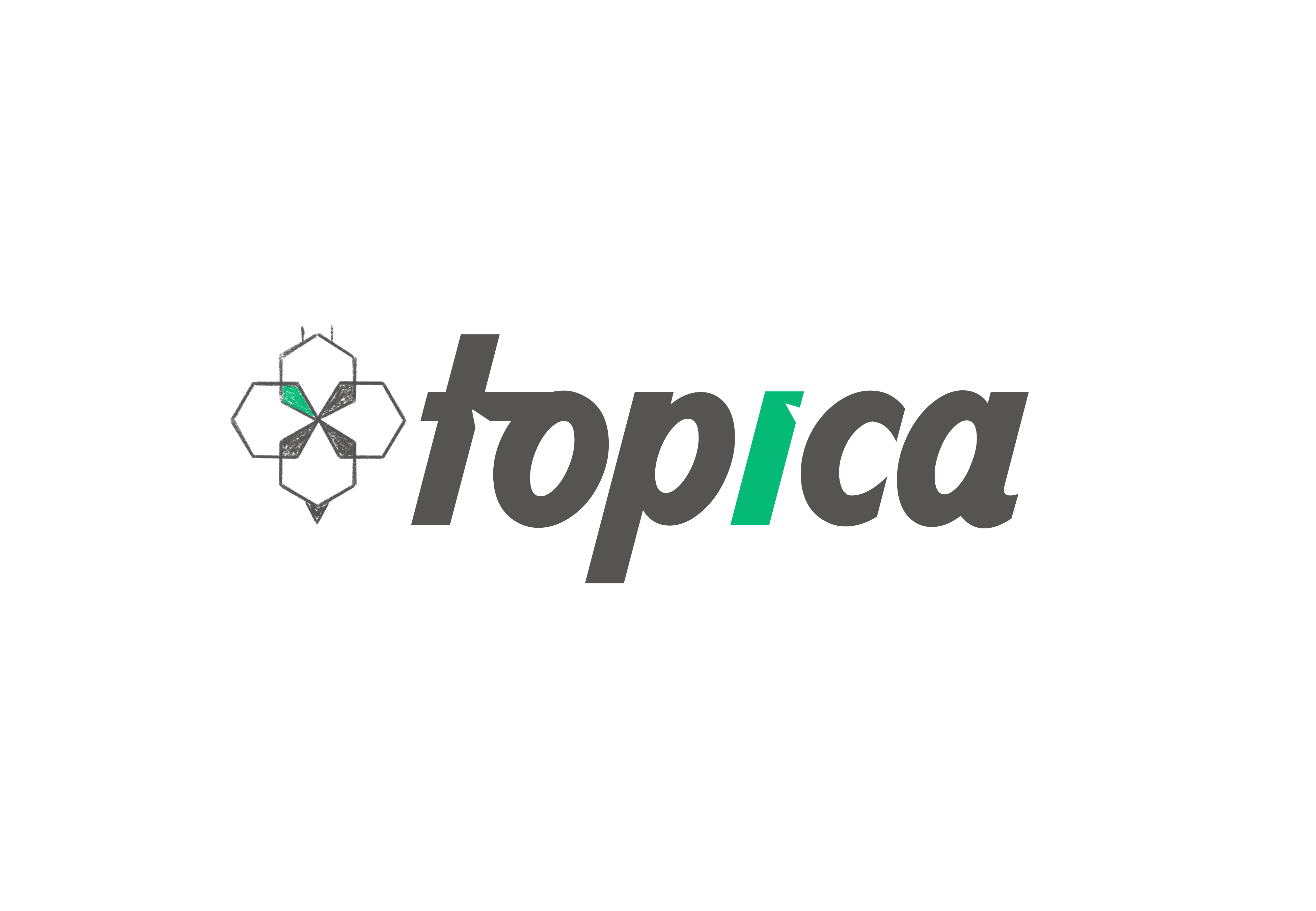 Topica Logo gris PNG